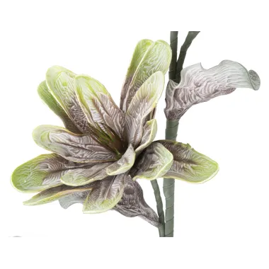 MAGNOLIA X2 Zielony 25X98 cm min 12